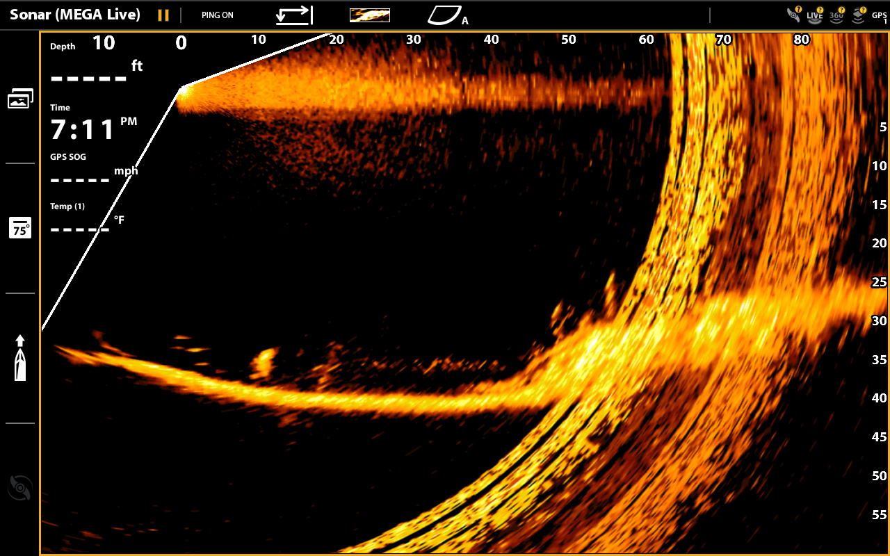 mega live interference.jpg